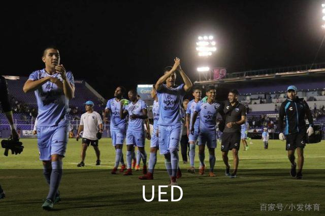 UED公司简介